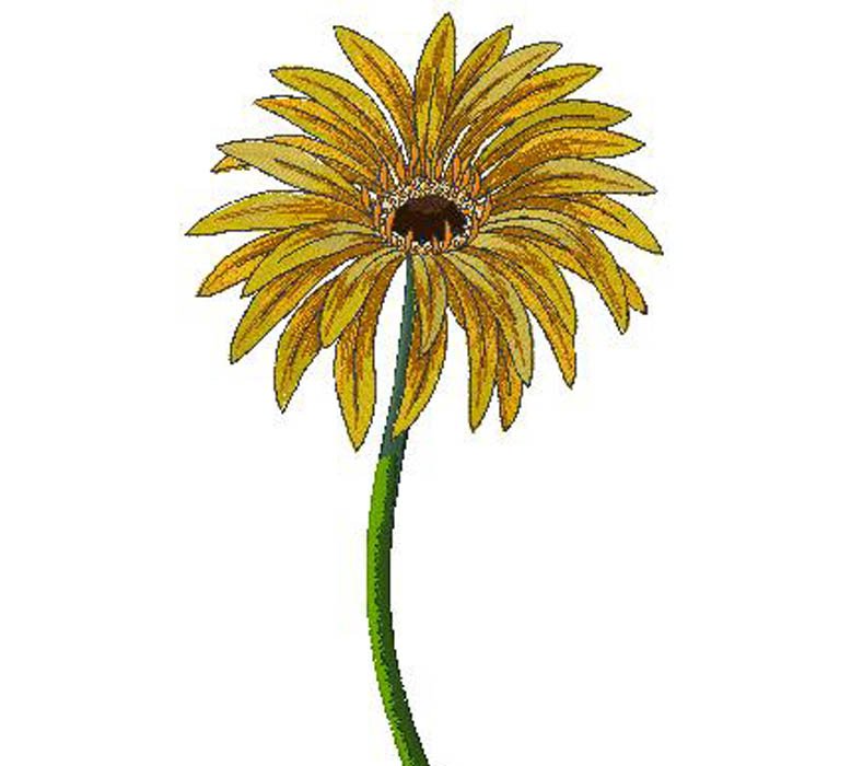 flower embroidery design